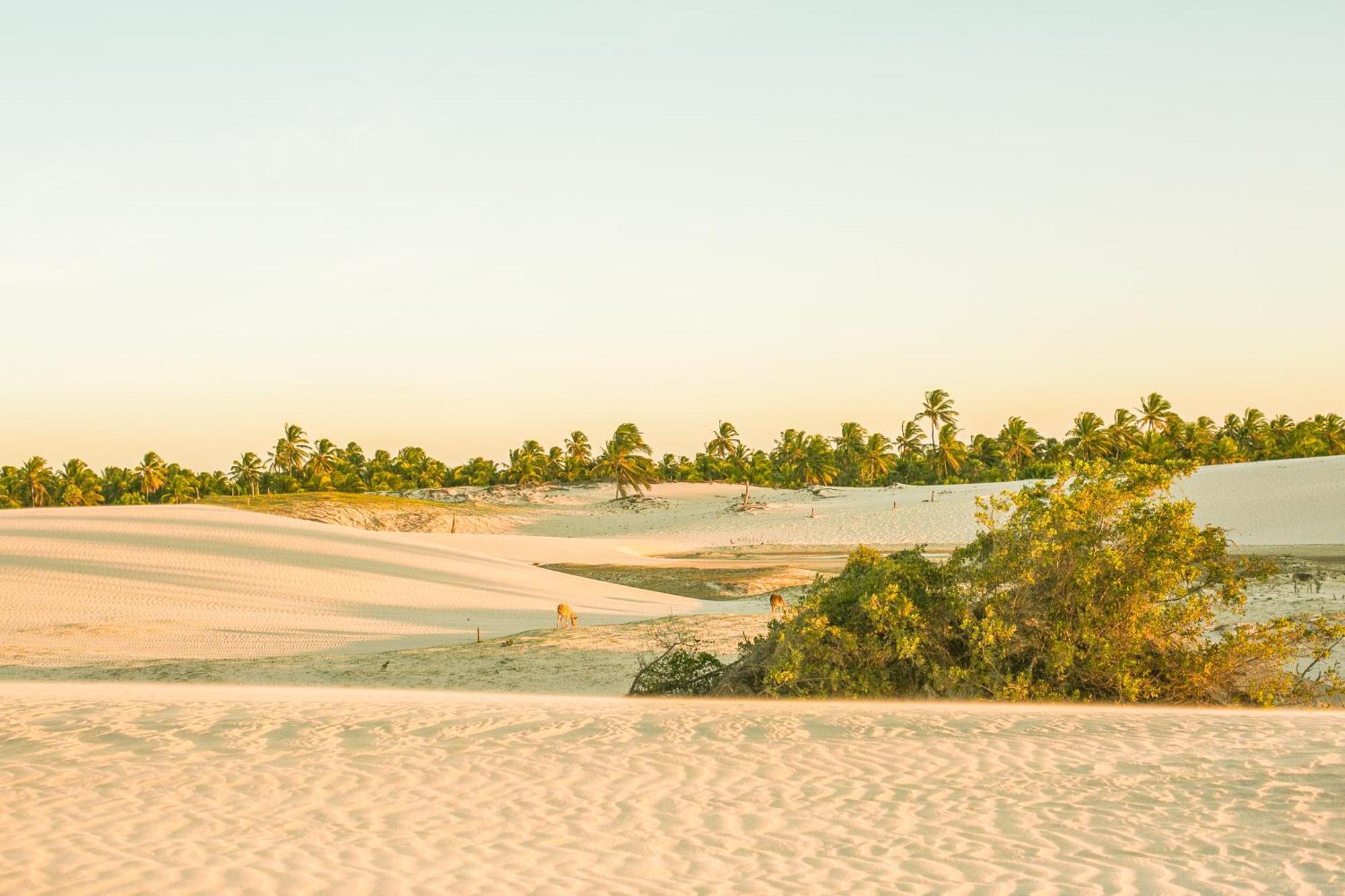 Vila Beiju Barrinha - Frente Mar! ภายนอก รูปภาพ